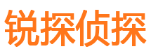 武陵侦探公司